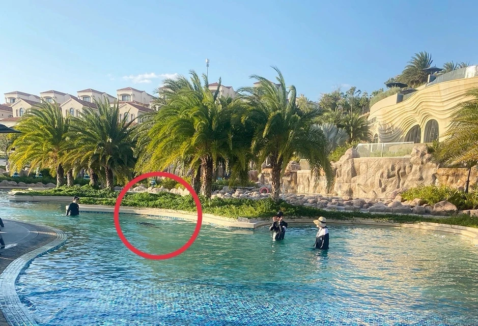 Phục hồi điều tra vụ bé trai người Nhật tử vong ở resort 5 sao Phục hồi điều tra vụ bé trai người Nhật tử vong ở resort 5 sao