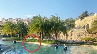 Phục hồi điều tra vụ bé trai người Nhật tử vong ở resort 5 sao