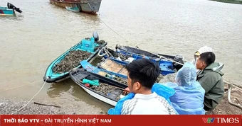 Quảng Ninh: Bắt nhóm 9 người lợi dụng mưa bão để trộm hàu nuôi của dân
