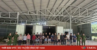 Quảng Ninh: Khởi tố 18 bị can trong đường dây buôn lậu chân giò