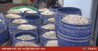 Quảng Ninh: Khởi tố các đối tượng sử dụng chất cấm trong sản xuất giá đỗ