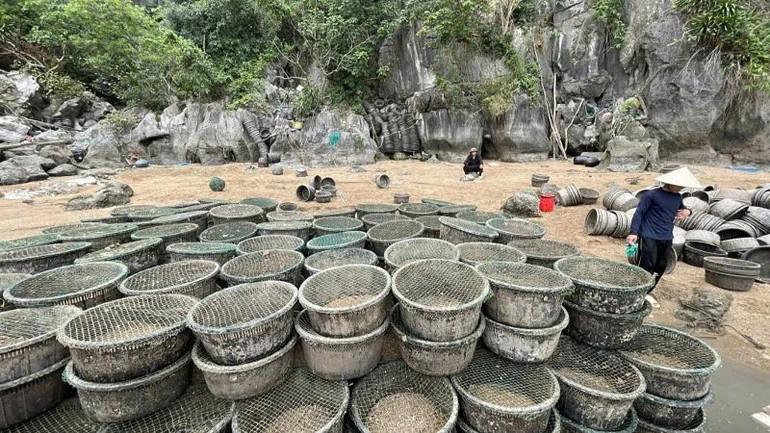 Quảng Ninh xử phạt 2 trường hợp nuôi thủy sản trái phép trên Vịnh Hạ Long Quảng Ninh xử phạt 2 trường hợp nuôi thủy sản trái phép trên Vịnh Hạ Long