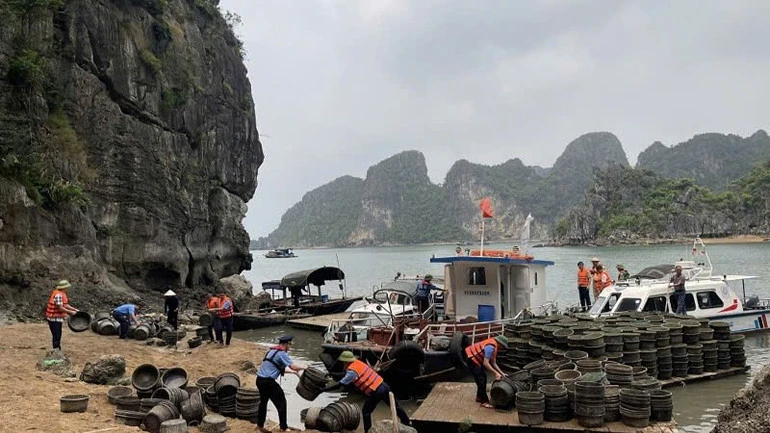 Quảng Ninh xử phạt 2 trường hợp nuôi thủy sản trái phép trên Vịnh Hạ Long Quảng Ninh xử phạt 2 trường hợp nuôi thủy sản trái phép trên Vịnh Hạ Long