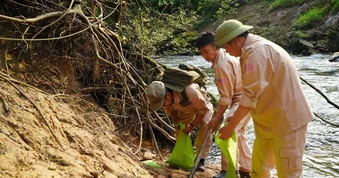 Quảng Trị: Nhân viên khu du lịch phát hiện quả bom bi ở bờ suối