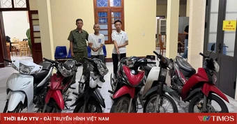 Quảng Trị: Triệt phá nhóm trộm xe máy liên tỉnh, làm rõ 23 vụ trộm cắp