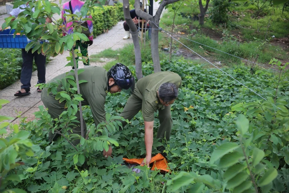 Siết chặt trật tự đô thị quanh chợ đầu mối nông sản Thủ Đức Siết chặt trật tự đô thị quanh chợ đầu mối nông sản Thủ Đức