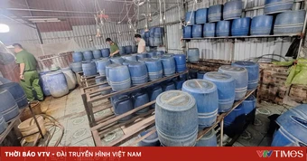 Sử dụng chất cấm để sản xuất gần 800kg giá đỗ, chủ cơ sở bị khởi tố