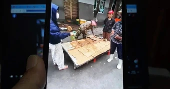Sự thật vụ thịt lợn hóa bò ở Gia Lai