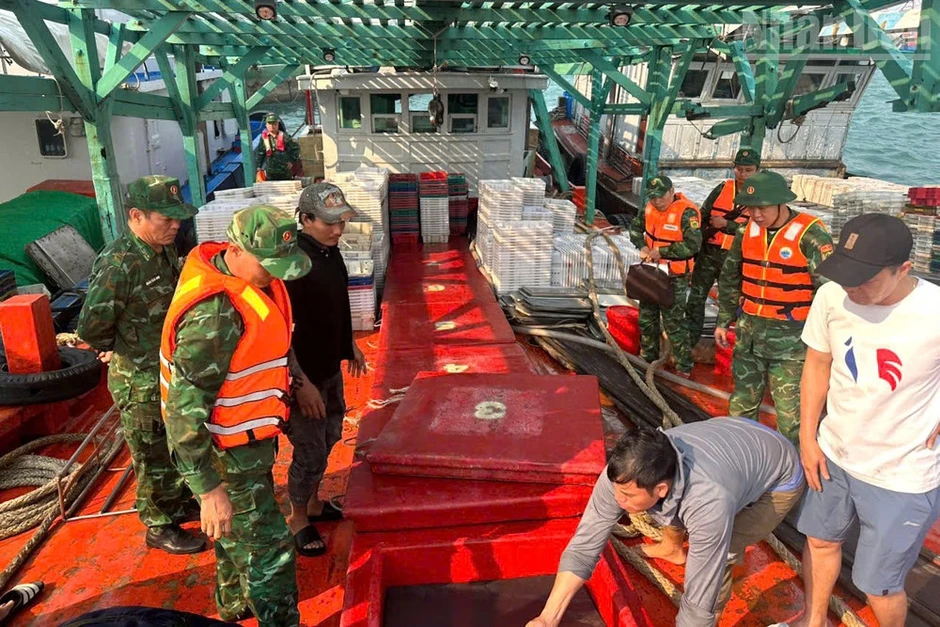 Tạm giữ phương tiện vận chuyển số lượng lớn dầu DO trái phép trên vùng biển Bạch Long Vĩ Tạm giữ phương tiện vận chuyển số lượng lớn dầu DO trái phép trên vùng biển Bạch Long Vĩ