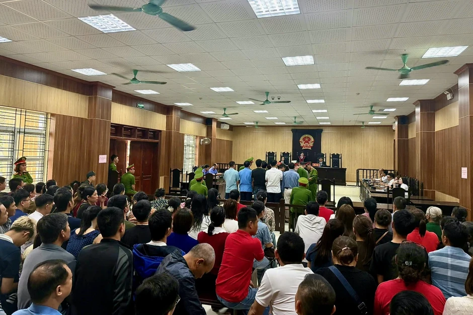 Thanh Hoá: ‘Mạnh gỗ’ cùng 4 cựu cán bộ kiểm lâm lãnh án Thanh Hoá: ‘Mạnh gỗ’ cùng 4 cựu cán bộ kiểm lâm lãnh án