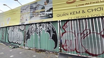 Thanh niên cùng nhóm bạn ngoại quốc bôi bẩn, rạch phá công trình cầu đi bộ