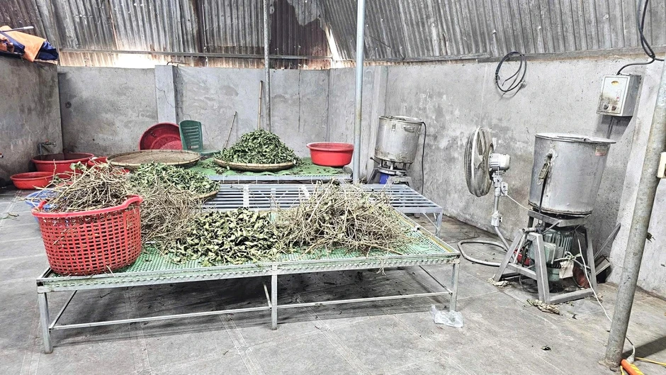 'Thảo dược đắp xương khớp Hoàng Minh Đường' không phải bài thuốc gia truyền 'Thảo dược đắp xương khớp Hoàng Minh Đường' không phải bài thuốc gia truyền