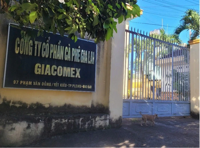 Thất thoát hàng chục tỉ đồng, doanh nghiệp cà phê ở Gia Lai bị đề nghị điều tra