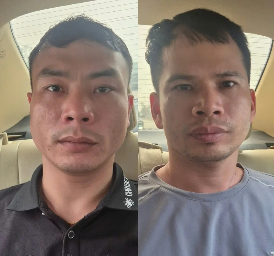 Thủ đoạn của nhóm đối tượng trộm hơn 300 con mèo ở Hà Nội Thủ đoạn của nhóm đối tượng trộm hơn 300 con mèo ở Hà Nội