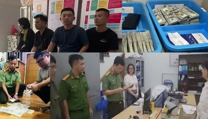 Thủ đoạn vận chuyển hơn 51 triệu USD qua biên giới Thủ đoạn vận chuyển hơn 51 triệu USD qua biên giới