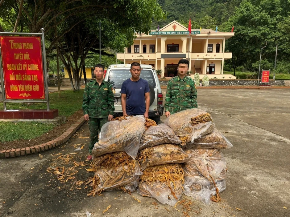 Thu giữ trên 600kg nguyên liệu thuốc lá, tiêu hủy gần 500 cây thuốc phiện