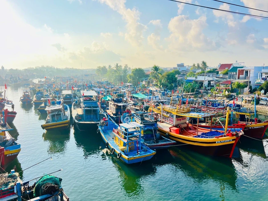 Tìm kiếm thuyền viên mất tích bí ẩn khi đang nhậu trên tàu cá Tìm kiếm thuyền viên mất tích bí ẩn khi đang nhậu trên tàu cá