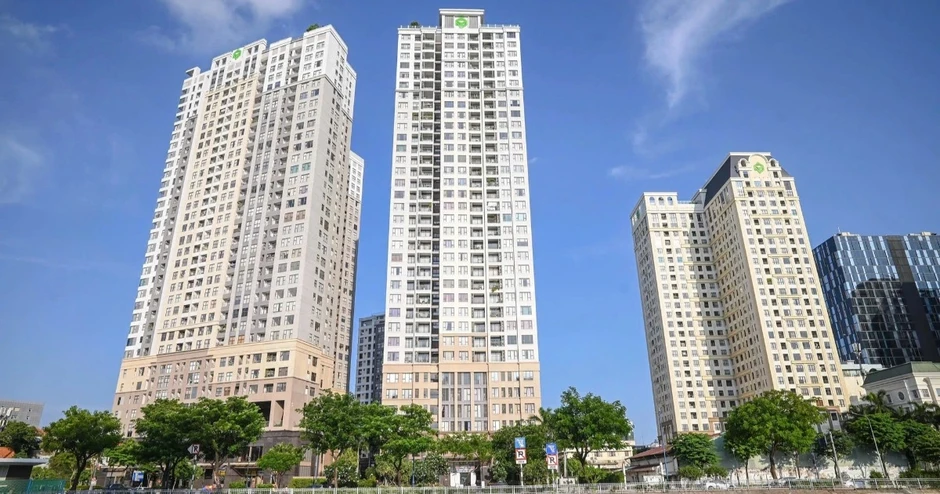 Tổng Giám đốc Quốc Cường Gia Lai Nguyễn Thị Như Loan sắp hầu tòa Tổng Giám đốc Quốc Cường Gia Lai Nguyễn Thị Như Loan sắp hầu tòa