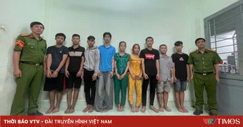 TP Hồ Chí Minh: Bắt nhóm 9 đối tượng cướp điện thoại trong đêm