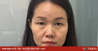 TP Hồ Chí Minh điều tra vụ lừa đảo chiếm đoạt tài sản trong lĩnh vực tư vấn du học