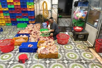 TP Hồ Chí Minh: Phát hiện điểm giết mổ gia cầm trái phép, buộc xử lý gần 1 tấn gà