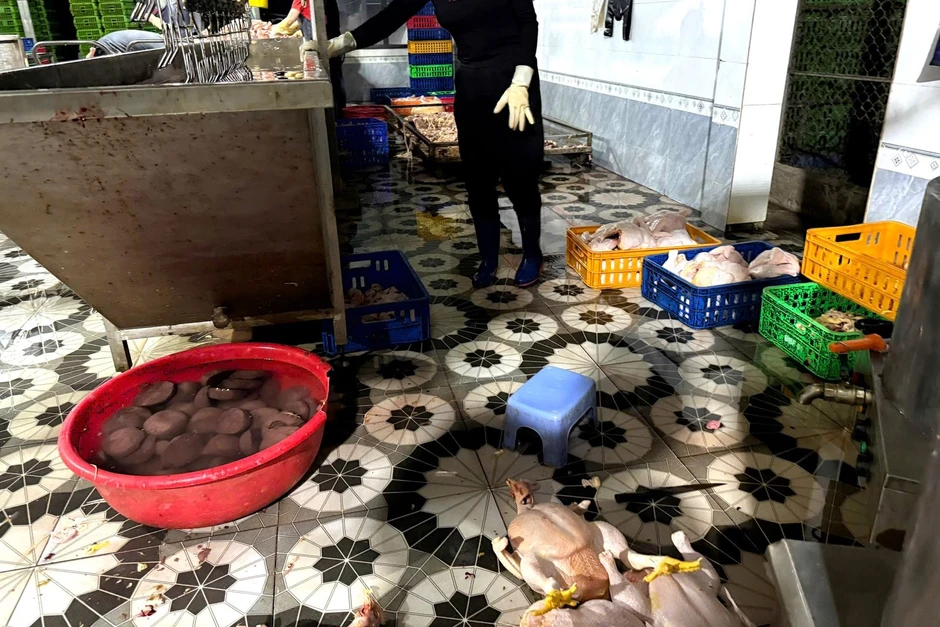 TP Hồ Chí Minh: Phát hiện điểm giết mổ gia cầm trái phép, buộc xử lý gần 1 tấn gà TP Hồ Chí Minh: Phát hiện điểm giết mổ gia cầm trái phép, buộc xử lý gần 1 tấn gà