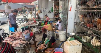 TP.HCM: Kiểm tra 12 điểm giết mổ gia cầm tự phát tại phường Dĩ An