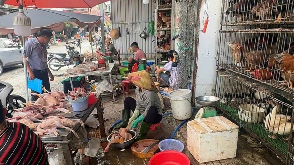 TP.HCM: Kiểm tra 12 điểm giết mổ gia cầm tự phát tại phường Dĩ An TP.HCM: Kiểm tra 12 điểm giết mổ gia cầm tự phát tại phường Dĩ An