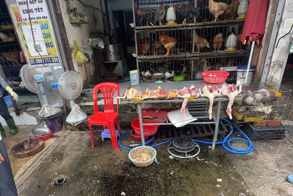 TP.HCM: Kiểm tra 12 điểm giết mổ gia cầm tự phát tại phường Dĩ An TP.HCM: Kiểm tra 12 điểm giết mổ gia cầm tự phát tại phường Dĩ An