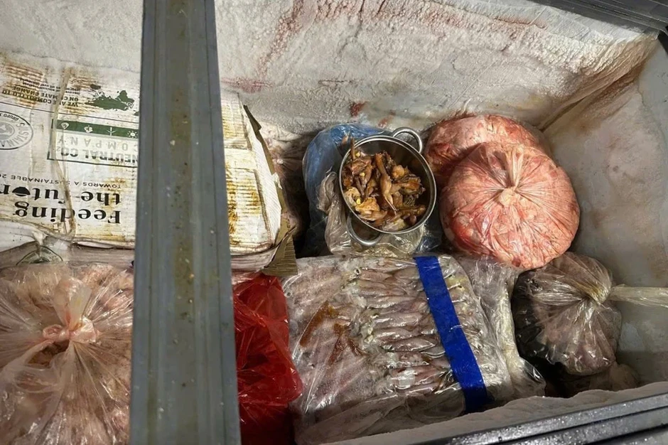 TP.HCM: Kiểm tra 13 cơ sở ăn uống, phát hiện 11 nơi vi phạm an toàn thực phẩm TP.HCM: Kiểm tra 13 cơ sở ăn uống, phát hiện 11 nơi vi phạm an toàn thực phẩm