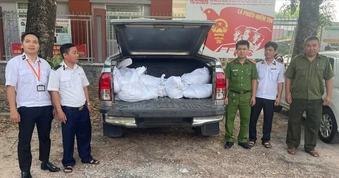 TP.HCM: Phát hiện xe chở gần 300 kg gà chết bốc mùi hôi thối đi tiêu thụ