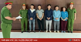 Triệt phá đường dây bột ngọt, hạt nêm giả quy mô lớn ở TP Hồ Chí Minh, khởi tố 5 bị can