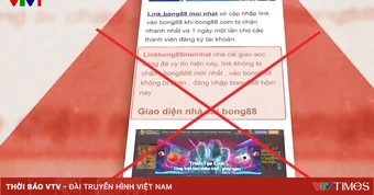 Triệt phá đường dây cá độ qua trang web bong88, quy mô hàng chục tỷ đồng