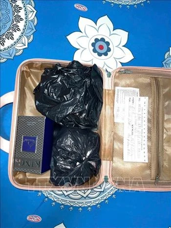 Triệt phá đường dây ma túy, thu giữ nhiều vũ khí Triệt phá đường dây ma túy, thu giữ nhiều vũ khí