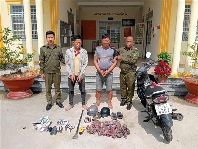 Triệt phá đường dây mua bán lợn giống không rõ nguồn gốc Triệt phá đường dây mua bán lợn giống không rõ nguồn gốc
