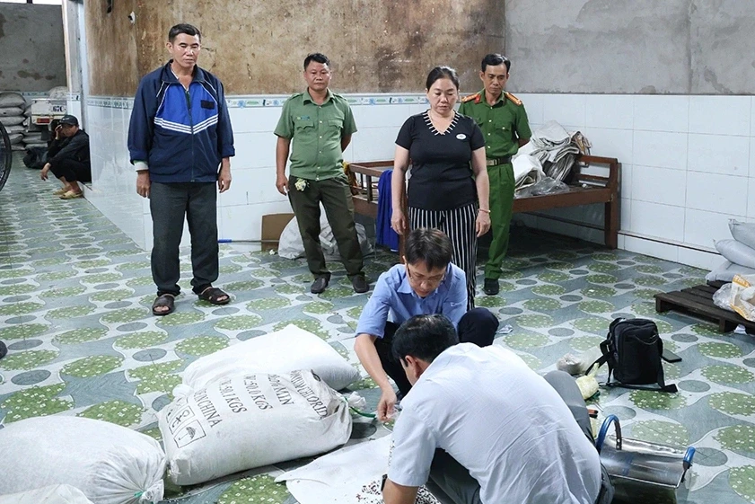 Triệt phá đường dây sản xuất, vận chuyển phân bón lậu quy mô lớn Triệt phá đường dây sản xuất, vận chuyển phân bón lậu quy mô lớn