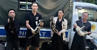 Triệt phá đường dây trộm và tiêu thụ mèo liên tỉnh, giải cứu hơn 400 con mèo còn sống