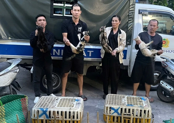 Triệt phá đường dây trộm và tiêu thụ mèo liên tỉnh, giải cứu hơn 400 con mèo còn sống Triệt phá đường dây trộm và tiêu thụ mèo liên tỉnh, giải cứu hơn 400 con mèo còn sống