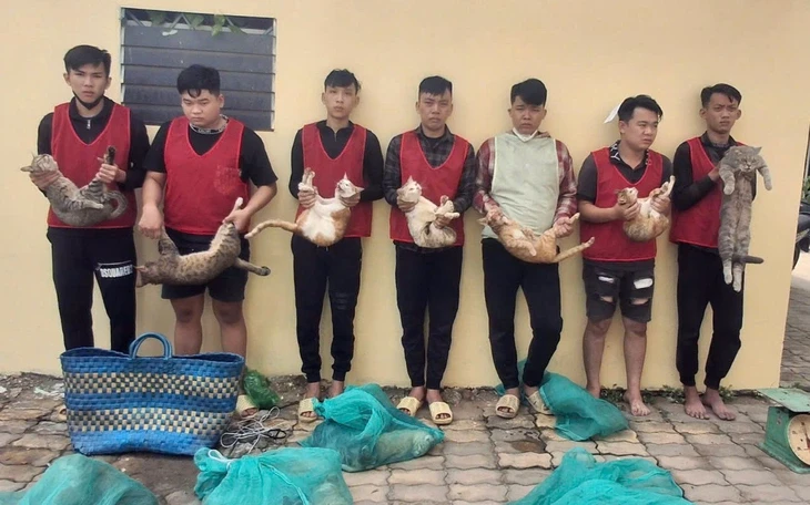 Triệt phá đường dây trộm và tiêu thụ mèo liên tỉnh, giải cứu hơn 400 con mèo còn sống Triệt phá đường dây trộm và tiêu thụ mèo liên tỉnh, giải cứu hơn 400 con mèo còn sống