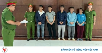 Triệt phá đường dây xuất bột ngọt, hạt nêm, bột giặt giả quy mô lớn