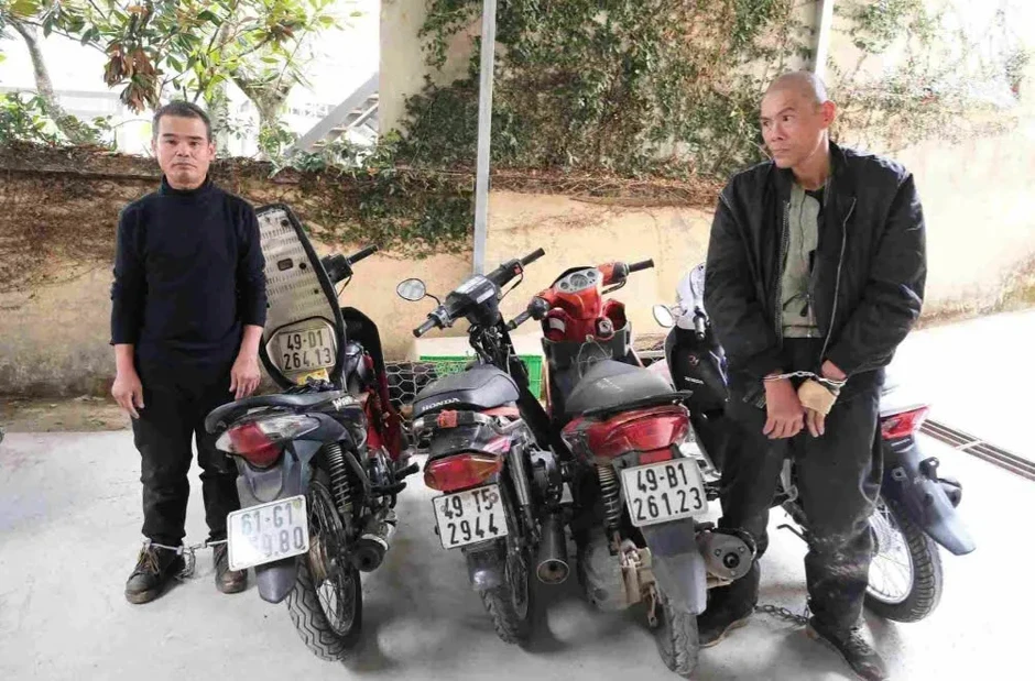 Triệt phá nhóm chuyên trộm chó, mèo gây bức xúc tại Đà Lạt Triệt phá nhóm chuyên trộm chó, mèo gây bức xúc tại Đà Lạt