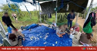 Triệt phá sới bạc trong vườn thanh long, tạm giữ 7 người liên quan