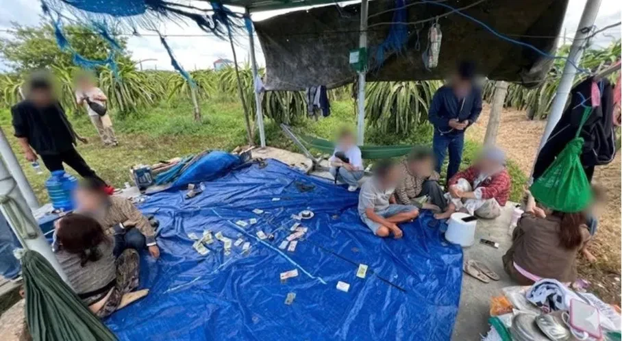 Triệt phá sới bạc trong vườn thanh long, tạm giữ 7 người liên quan Triệt phá sới bạc trong vườn thanh long, tạm giữ 7 người liên quan