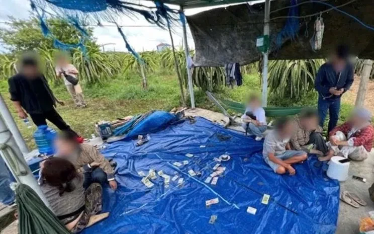 Triệt phá sới bạc trong vườn thanh long, tạm giữ 7 người liên quan Triệt phá sới bạc trong vườn thanh long, tạm giữ 7 người liên quan