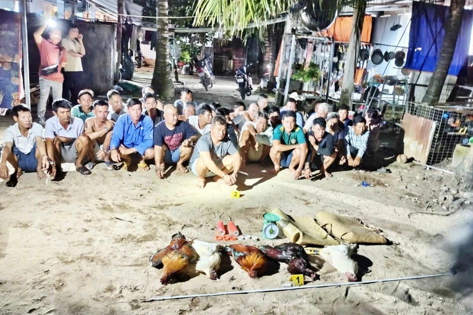 Triệt phá trường gà ở Phú Quốc do hai anh em ruột điều hành Triệt phá trường gà ở Phú Quốc do hai anh em ruột điều hành