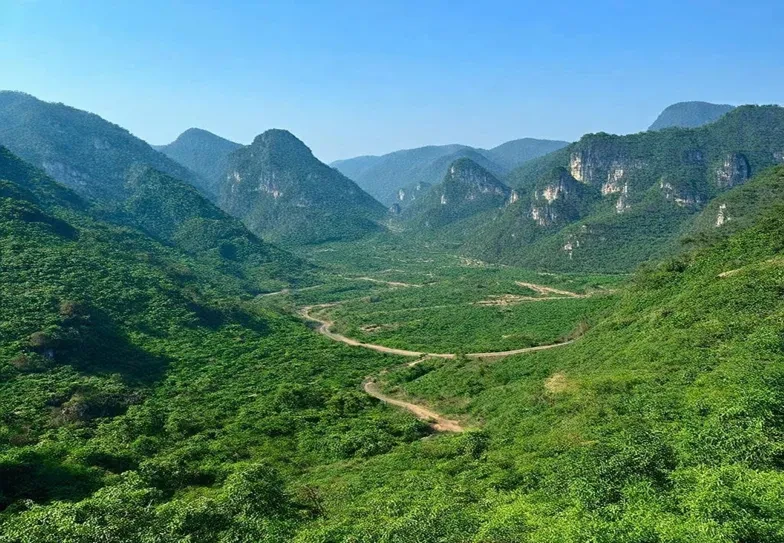 Triệt phá tụ điểm đánh bạc tại khu vực đồi núi hiểm trở ở Lạng Sơn, bắt 18 đối tượng Triệt phá tụ điểm đánh bạc tại khu vực đồi núi hiểm trở ở Lạng Sơn, bắt 18 đối tượng