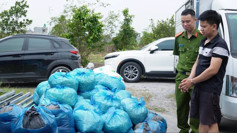 Triệt phá xưởng giá đỗ dùng chất cấm tại Quảng Ninh, thu giữ hàng tấn sản phẩm vi phạm Triệt phá xưởng giá đỗ dùng chất cấm tại Quảng Ninh, thu giữ hàng tấn sản phẩm vi phạm