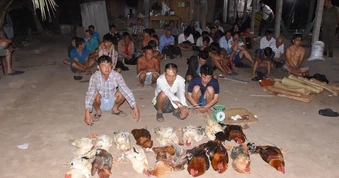 Triệt xoá tụ điểm đá gà ăn tiền với 35 người liên quan