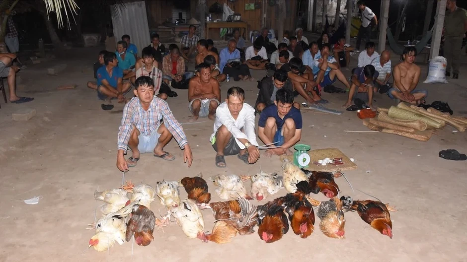 Triệt xoá tụ điểm đá gà ăn tiền với 35 người liên quan Triệt xoá tụ điểm đá gà ăn tiền với 35 người liên quan