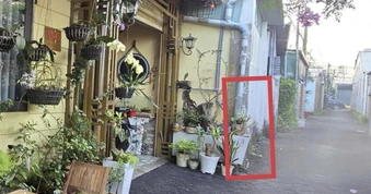 Trồng cây trước nhà, người đàn ông ở Lâm Đồng bị hàng xóm đánh nhập viện